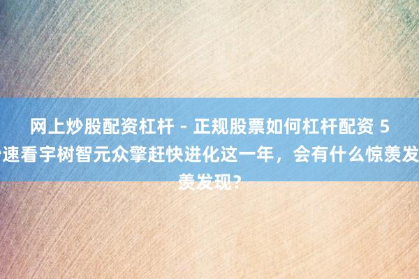 网上炒股配资杠杆 - 正规股票如何杠杆配资 50秒速看宇树智元众擎赶快进化这一年，会有什么惊羡发现？
