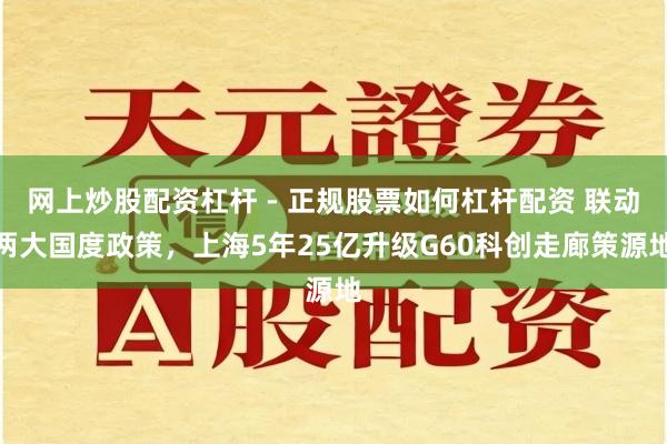 网上炒股配资杠杆 - 正规股票如何杠杆配资 联动两大国度政策，上海5年25亿升级G60科创走廊策源地