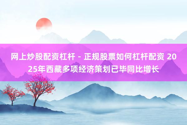 网上炒股配资杠杆 - 正规股票如何杠杆配资 2025年西藏多项经济策划已毕同比增长