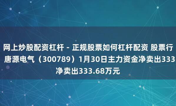 网上炒股配资杠杆 - 正规股票如何杠杆配资 股票行情快报：唐源电气（300789）1月30日主力资金净卖出333.68万元